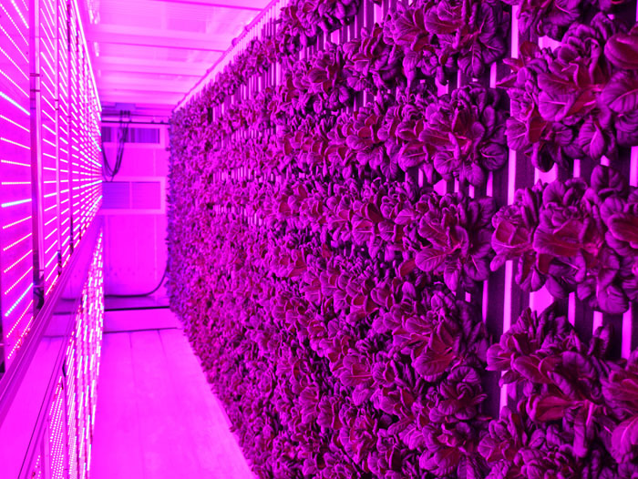 Freight Farms And Sodexo Announce Strategic National Partnership