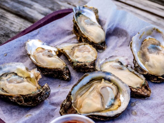FSU Receives Grant To Restore Apalachicola Bay's Struggling Oyster